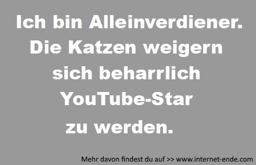 Alleinverdiener