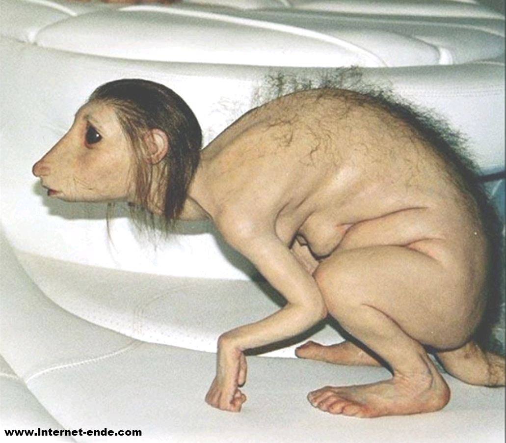 sackratten sackratten
