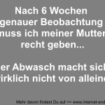 Abwasch Beobachtung