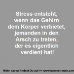 Stress und das Gehirn