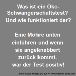 Der Öko-Schwangerschaftstest